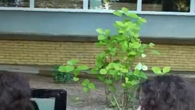 Гродно - 25 лет спустя.wmv смотреть онлайн