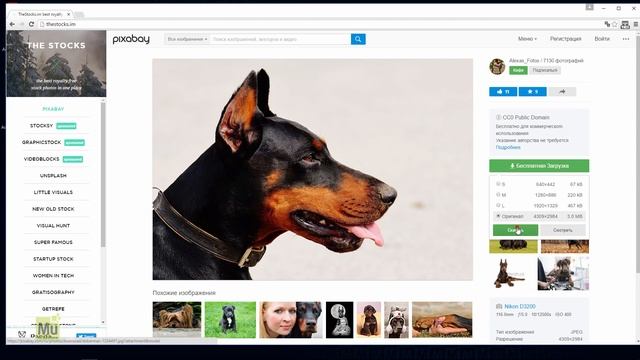 11 советов по Adobe Muse Часть 2. Совет №9 - Не используйте картинки из поисковиков смотреть онлайн
