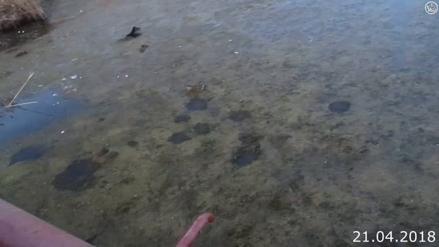 Ерик Казачий,Астрахань 21/04/2018 смотреть онлайн