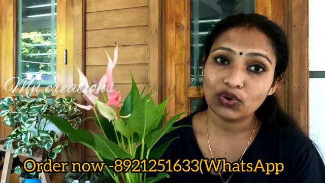 😱 ആന്തൂറിയം പുതിയ കളർ കോമ്പോ/Anthurium Plants Combo Sale смотреть онлайн