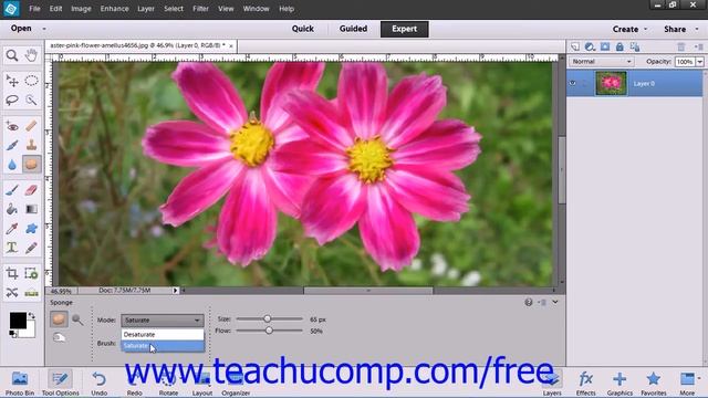Photoshop Elements 12 Tutorial The Sponge Tool Adobe Training Lesson 13.8 смотреть онлайн