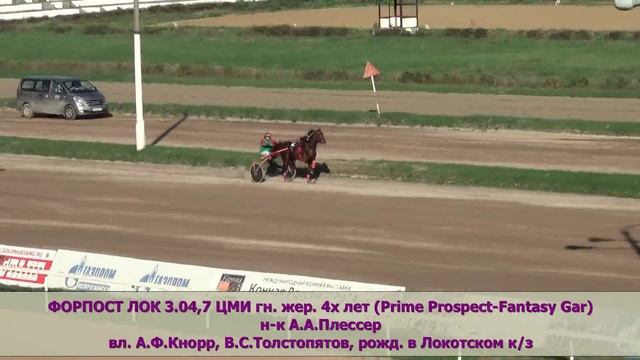 РЕЗВЕЙШИЕ РЫСАКИ ПРИЗОВЫХ ПОРОД 2014 ГОДА смотреть онлайн