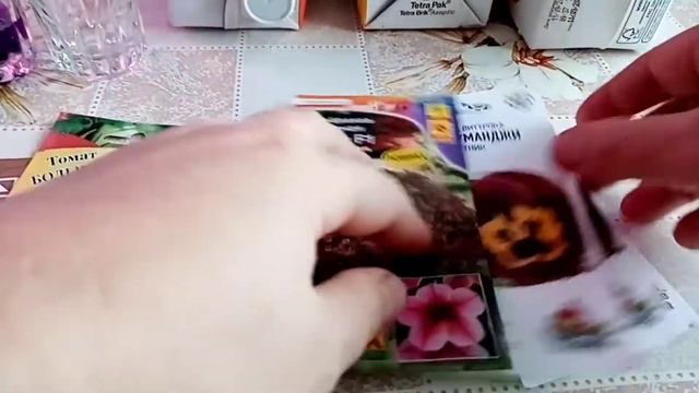 Снегопад. Посев виолы, калибрахоа и томатов для эксперемента. смотреть онлайн