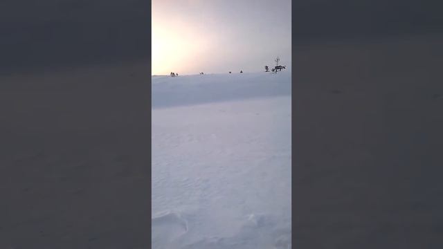 Надым рыбалка 13-14 января 2018 смотреть онлайн