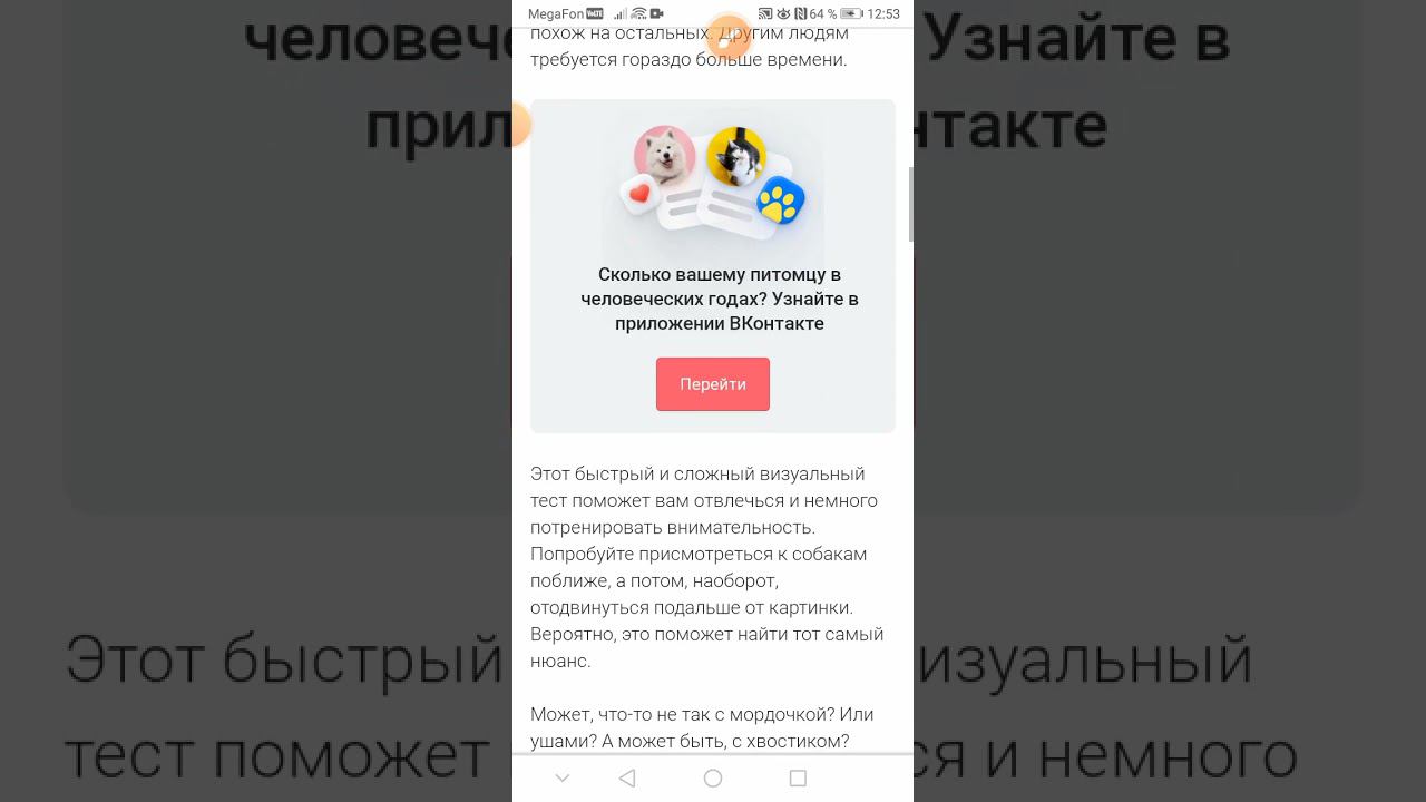 тест на внимательность смотреть онлайн