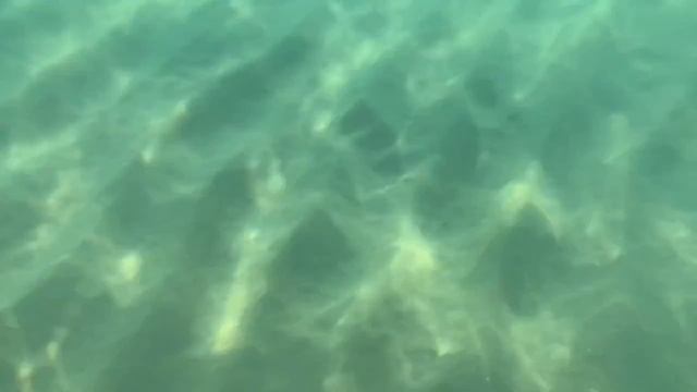 Plage du Midi.mp4 смотреть онлайн