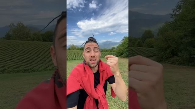 Как снимать сторис регулярно. Как выработать привычку смотреть онлайн