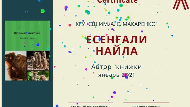Сертификаты участникам проекта "Моя цифровая книжка" смотреть онлайн