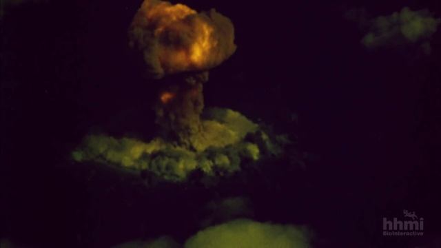 The Day the Mesozoic Died: The Asteroid That Killed the Dinosaurs — HHMI BioInteractive Video смотреть онлайн