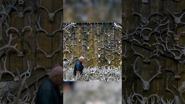 Самая рогатая коллекция Джима Филипса смотреть онлайн