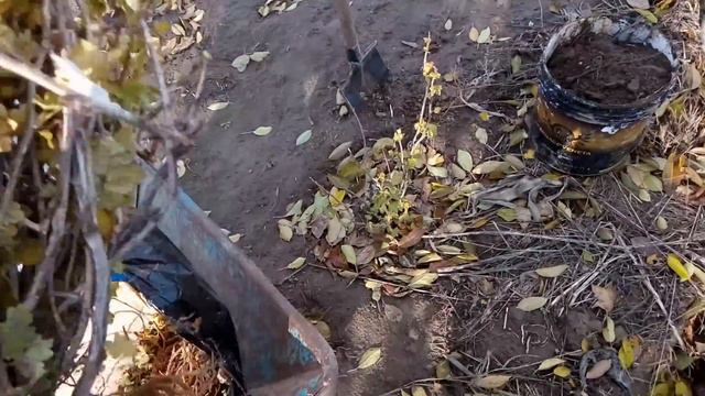 Посадка агруса. смотреть онлайн