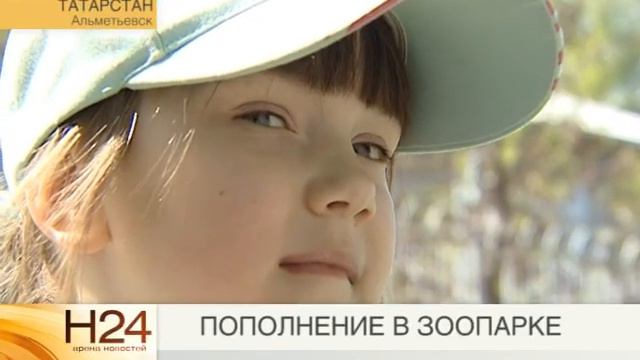 ЗООПАРК В ДЕКРЕТЕ смотреть онлайн