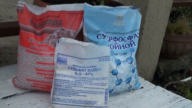 ПЕРВАЯ ПОДКОРМКА ТОМАТОВ ОРГАНИЧЕСКАЯ И МИНЕРАЛЬНАЯ смотреть онлайн