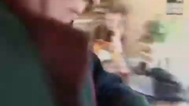 Все о собаках. Бернская собака смотреть онлайн