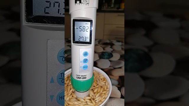 Овсяный квас. "Живой" лёгкий овсяный квас. смотреть онлайн