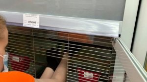 покупаем попугаев