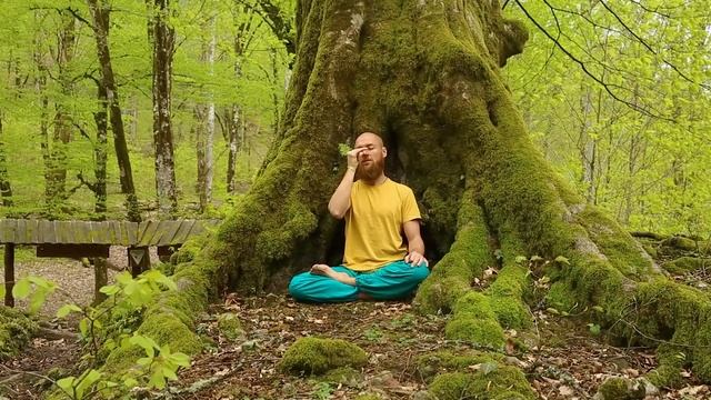 Пранаяма. Дмитрий Беляков смотреть онлайн