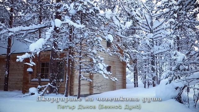 Където Любовта отсъства, там е адът ~ аудио книга ~ Петър Дънов ~ Акордиране на човешката душа #2 смотреть онлайн