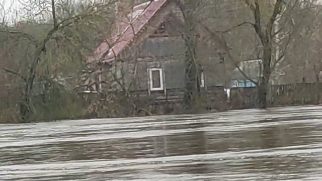 Брянск, 18.04.22, к дому на лодке(1) смотреть онлайн