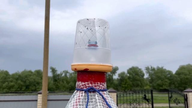 Ловушка от оводов и слепней своими руками. Лошади будут довольны смотреть онлайн