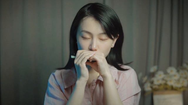 Happy Birthday | Harmonica Cover смотреть онлайн