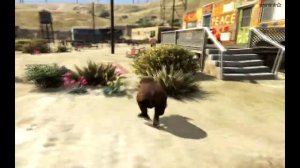 🎮 GTA 5, превращение в Ротвейлера