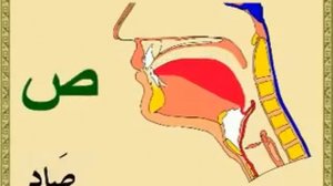 ПРОИЗНОШЕНИЕ АРАБСКИХ БУКВ