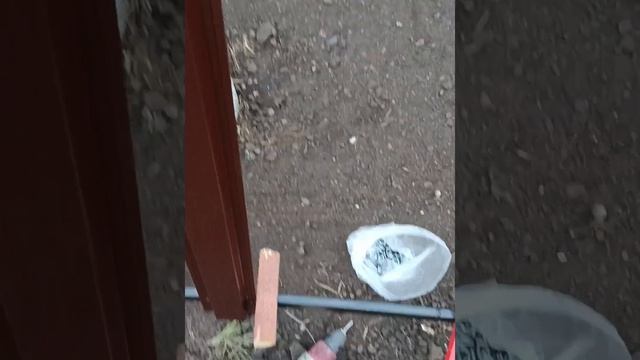 Полисадник своими руками из евро штакетника смотреть онлайн