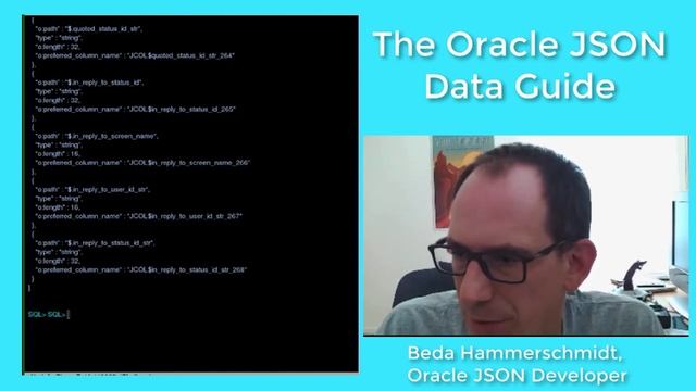 The JSON Data Guide смотреть онлайн
