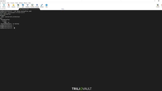 Kubernetes Namespace Backup and Recovery смотреть онлайн