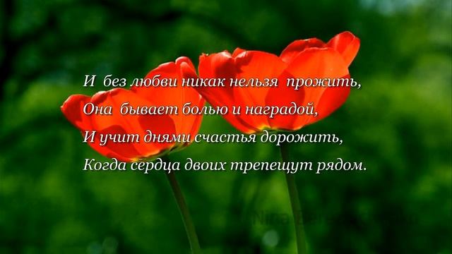 В нас вновь и вновь заговорит любовь... Стихи. смотреть онлайн