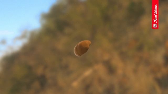 Juan Valdez - Commercial смотреть онлайн