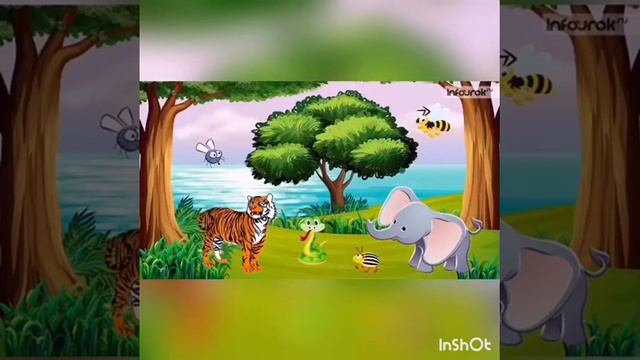 животные и растения Земли смотреть онлайн