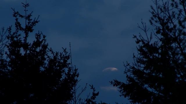 Колыбельная ? Уснуть за 5 минут | Колыбельная для сна смотреть онлайн