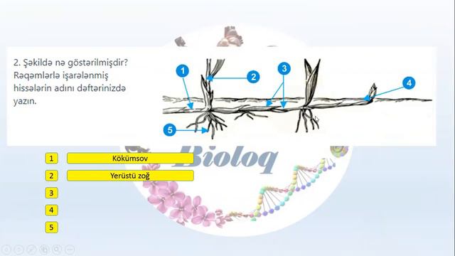 Biologiya 6-cı sinif mövzu 22-23 tapşırıq izahı. смотреть онлайн
