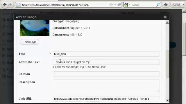Wordpress 3.2 - How to Insert and Format Images смотреть онлайн