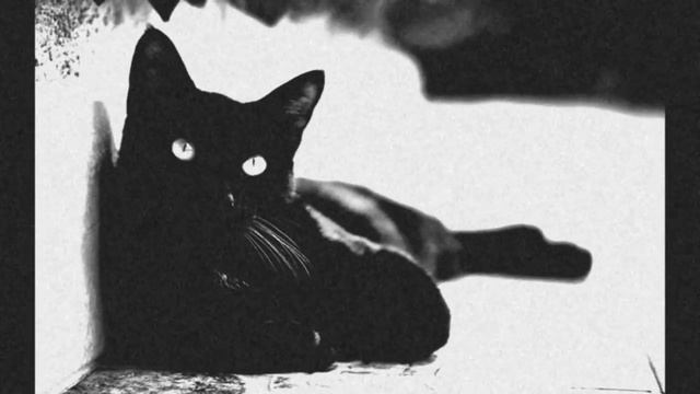 ❤︎❤︎L-Jane -ne uxodi❤︎❤︎ смотреть онлайн