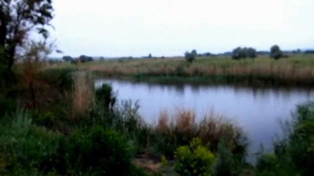 р Камышная смотреть онлайн