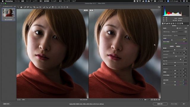 【写真作品作りのためのRAW現像術】｜Photoshop Camera Raw