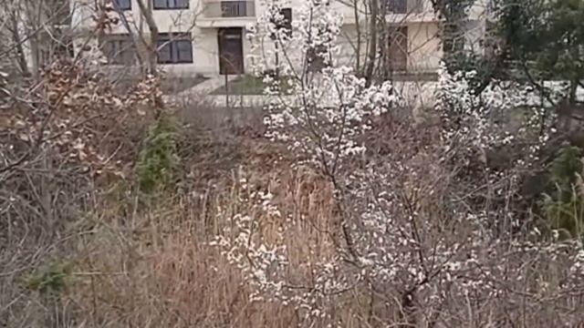 В Сукко цветет черешня смотреть онлайн