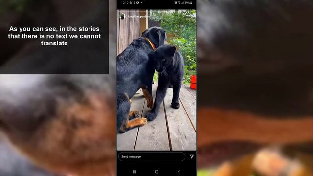 🈂️ How to TRANSLATE Instagram STORIES to English смотреть онлайн