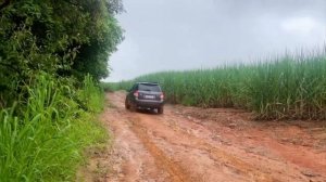 Работа полного привода SUZUKI SX4