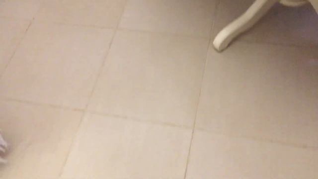 Чем отмыть швы между плиткой?/Предновогодняя уборка дома смотреть онлайн