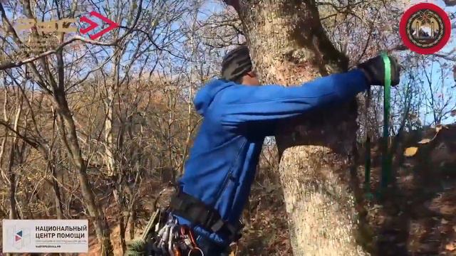 Учебный центр Найти Ребенка Организация переправы смотреть онлайн