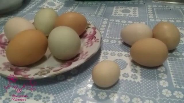 Кто появился первым, курица или яйцо? Ответ: появилось очень маленькое яйцо смотреть онлайн