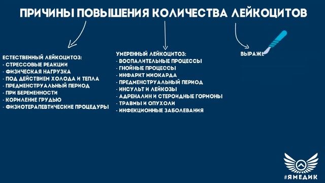 Лейкоциты: что это, их норма, причины повышения и снижения количества смотреть онлайн