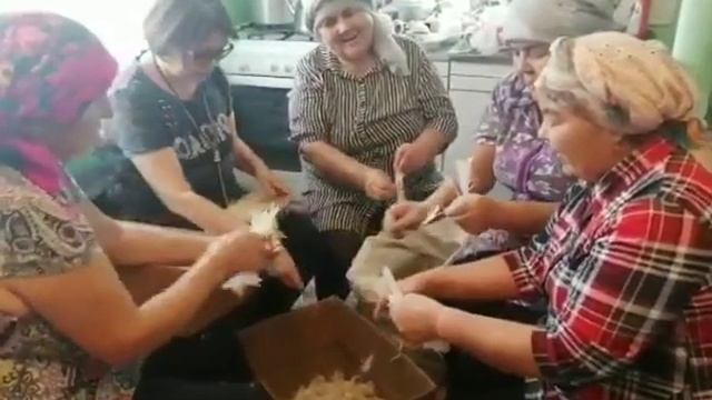 Посиделки по подготовке гусиного пуха и перьев для подушки, село Каныкаево смотреть онлайн