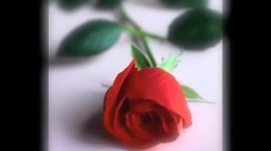 Гаяне Даниелян