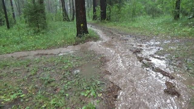 в ливень. смотреть онлайн