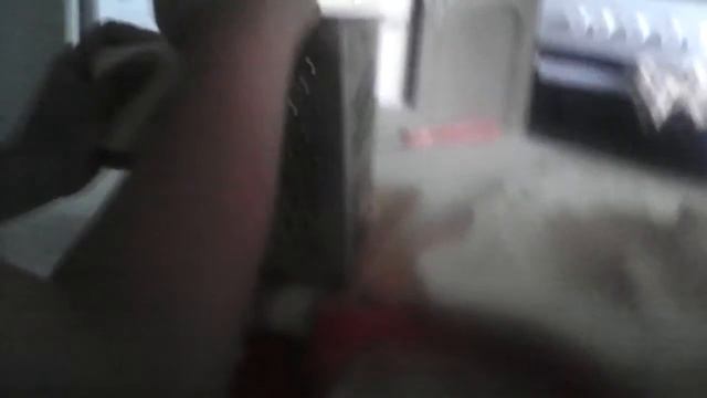 Делай То, Что Дарит Счастье